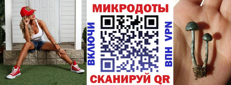 Псилоцибиновые грибы Psilocybine cubensis  сколько стоит  Зубцов 